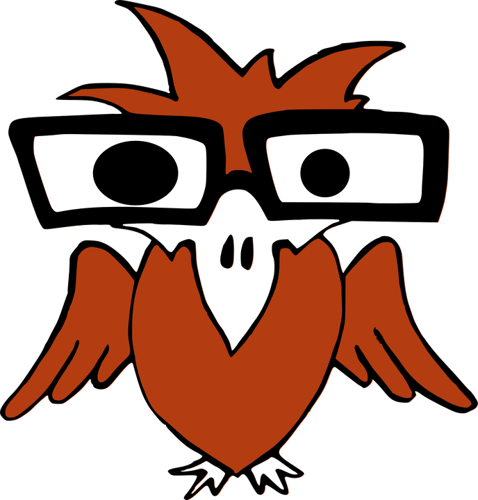 The mboufos owl: a red owl with big black glasses